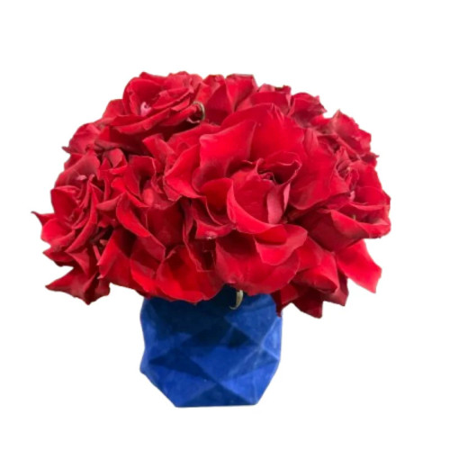 Flower Box Premium