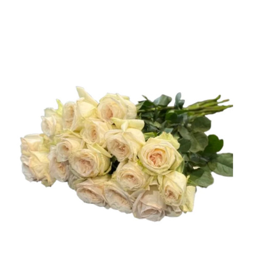 Bouquet of powdery roses 60 - 70 cm