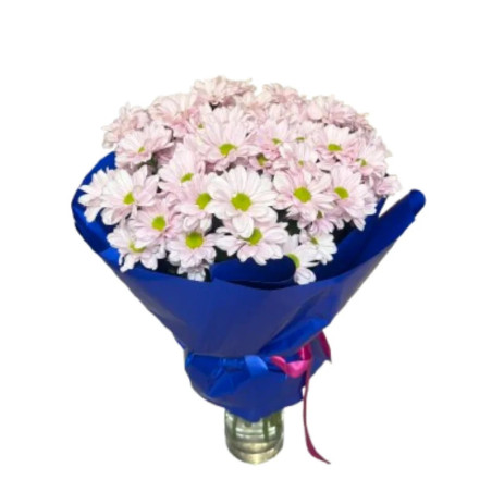 A bouquet of pink Margarets A bouquet of pink Margarets