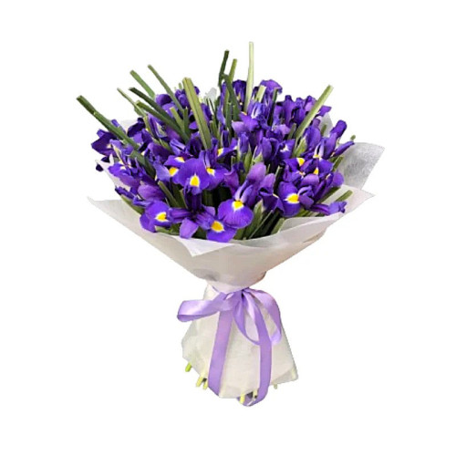 Bouquet of Irises