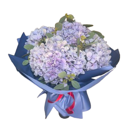 Hydrangea Bouquet Hydrangea Bouquet
