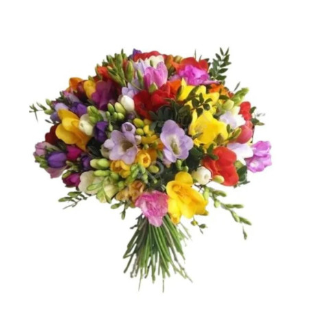 Freesia Fragrance Bouquet Freesia Fragrance Bouquet